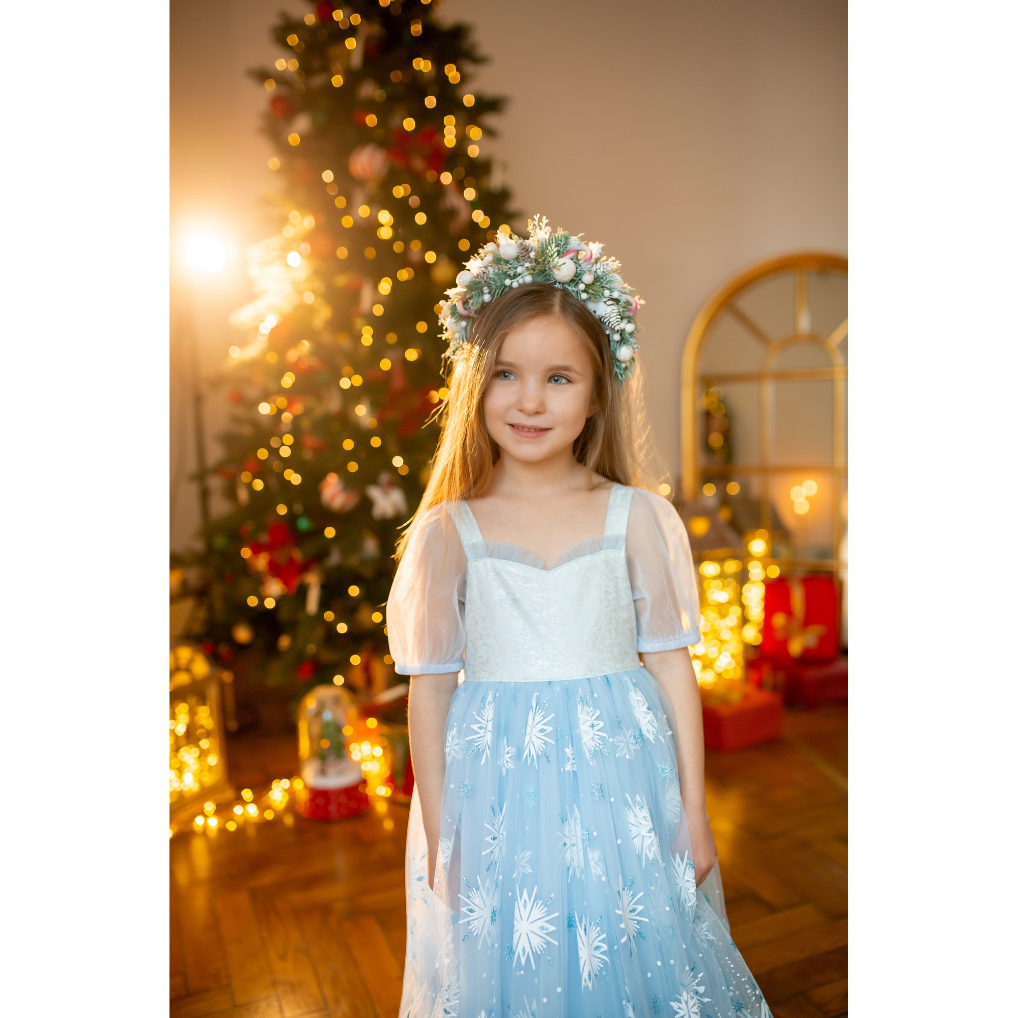 Elsa Princess Dress Elsa Princess Dress