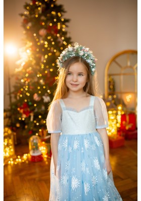 Elsa Princess Dress