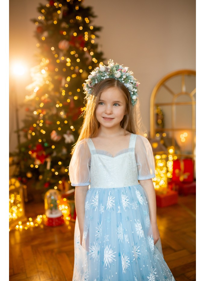 Elsa Princess Dress