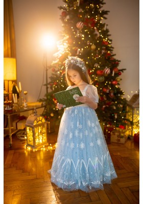 Elsa Princess Dress