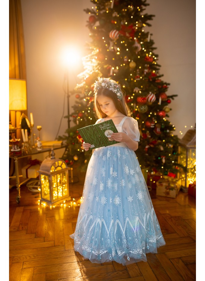 Elsa Princess Dress