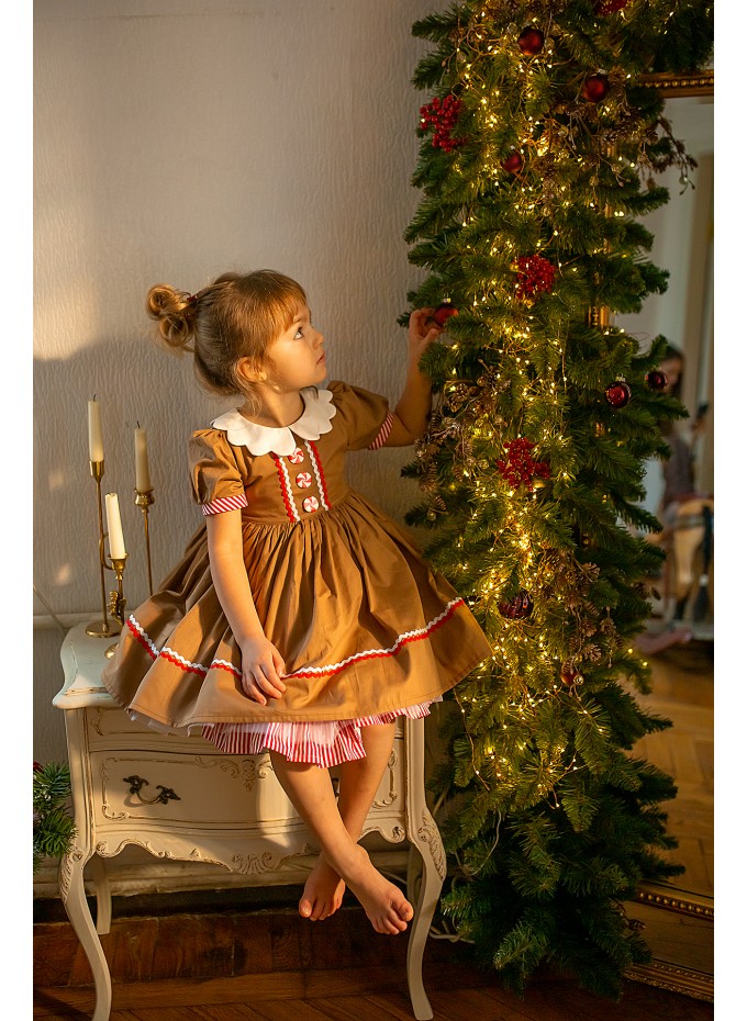 Gingerbread Christmas dress