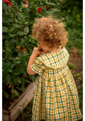 Gingham green dress