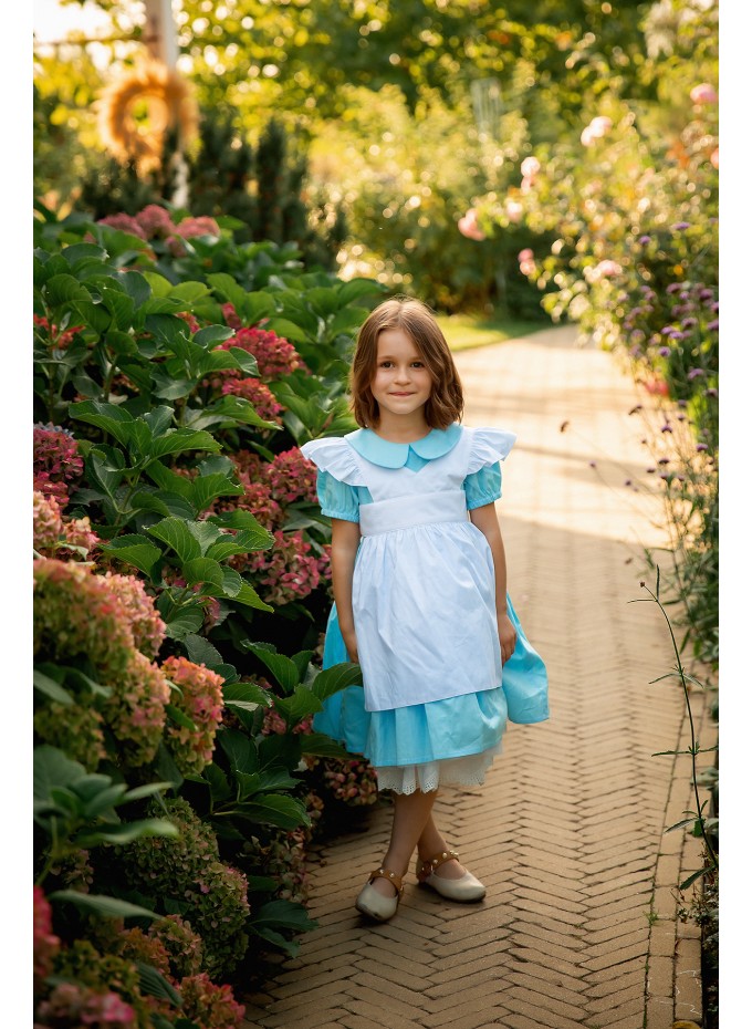 Alice in Wonderland Dress