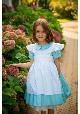 Alice in Wonderland Dress