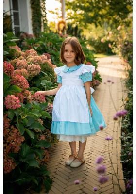 Alice in Wonderland Dress