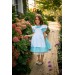 Alice in Wonderland Dress