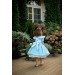 Alice in Wonderland Dress