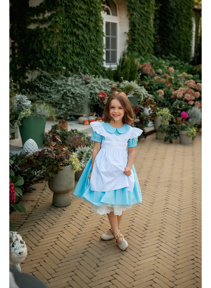 Alice in Wonderland Dress