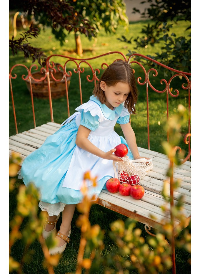 Alice in Wonderland Dress