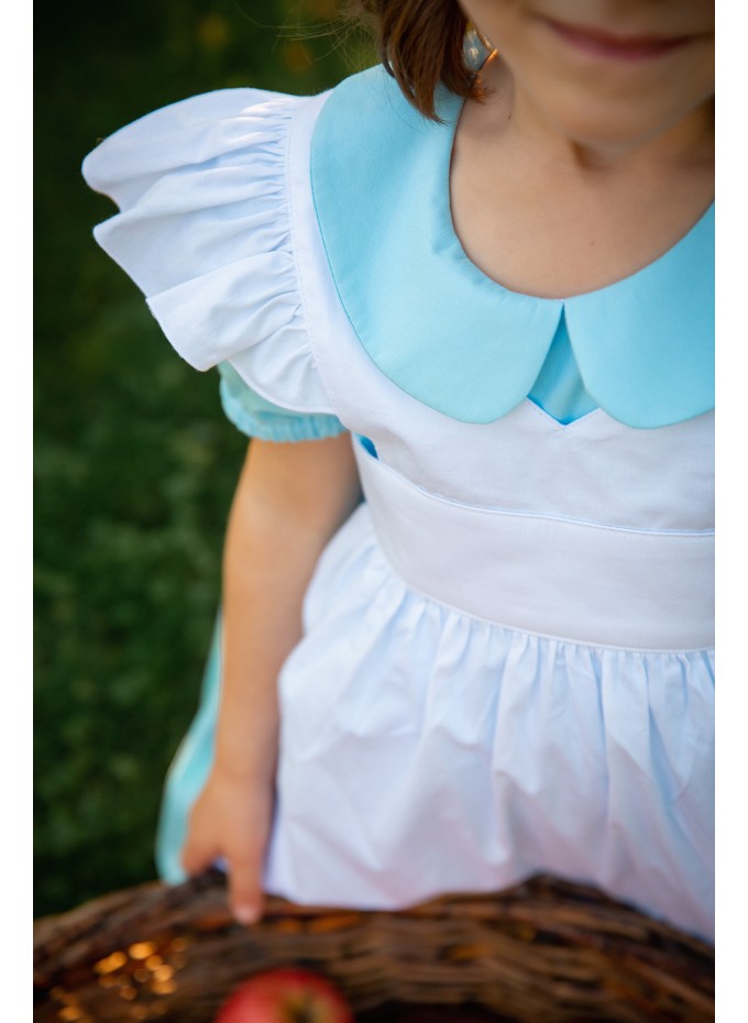 Alice in Wonderland Dress