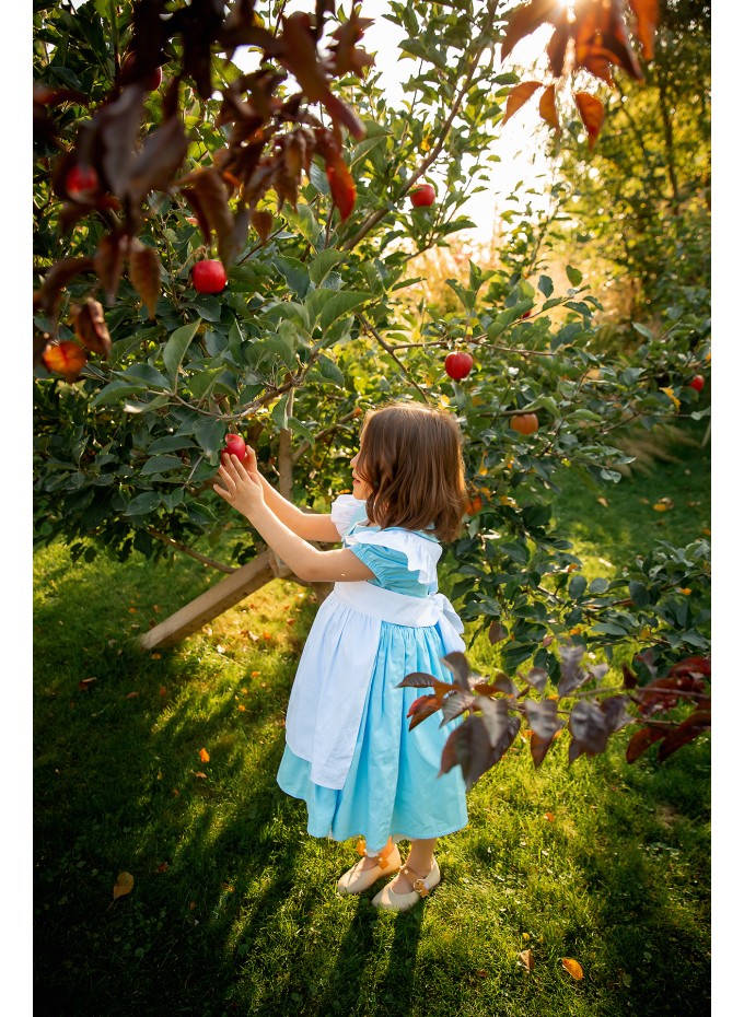 Alice in Wonderland Dress