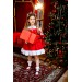 Santa Claus Dress