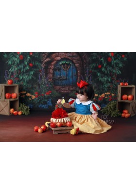 Snow White Birthday Dress