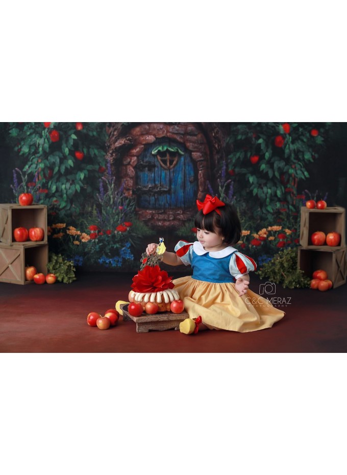 Snow White Birthday Dress