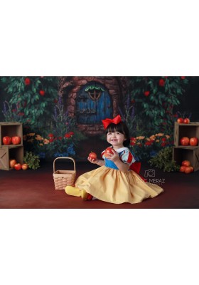 Snow White Birthday Dress