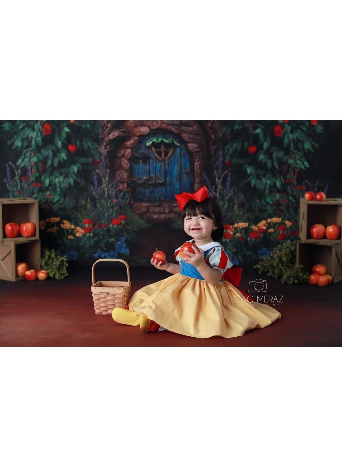 Snow White Birthday Dress